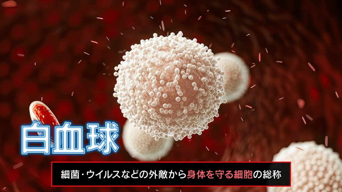 科学雑誌Newton(ニュートン)公式 tweet media