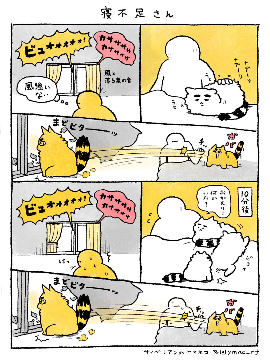 ヤマネコ tweet media