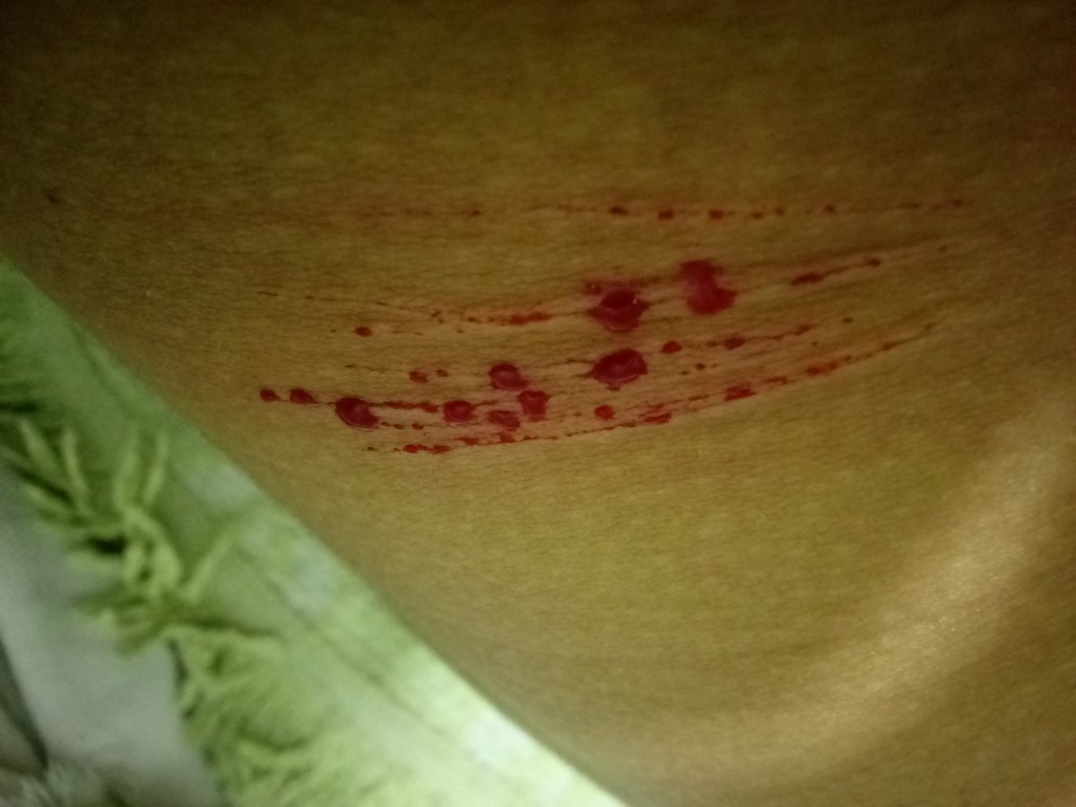 Lιᴢᴢιᥱ.ᐟ¡ ˶ShᥱᏧtωtᵐᵉᵒʷˎˊ˗ tweet media