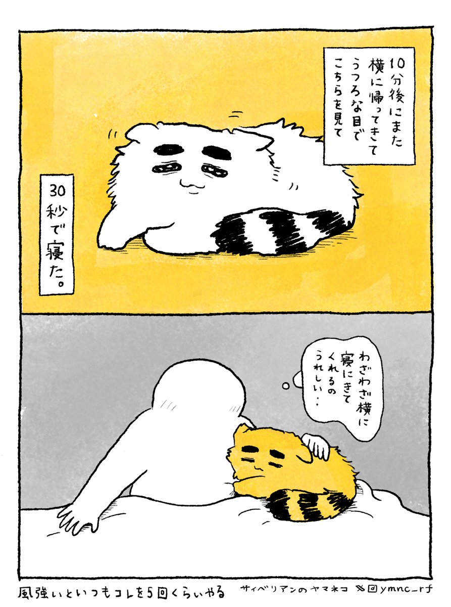 ヤマネコ tweet media