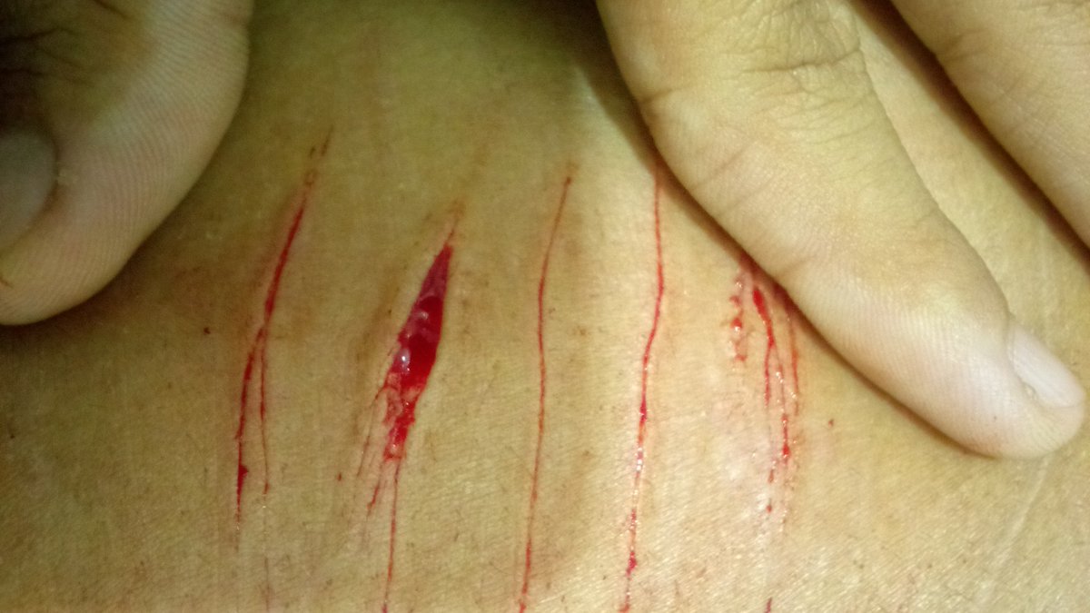 Lιᴢᴢιᥱ.ᐟ¡ ˶ShᥱᏧtωtᵐᵉᵒʷˎˊ˗ tweet media