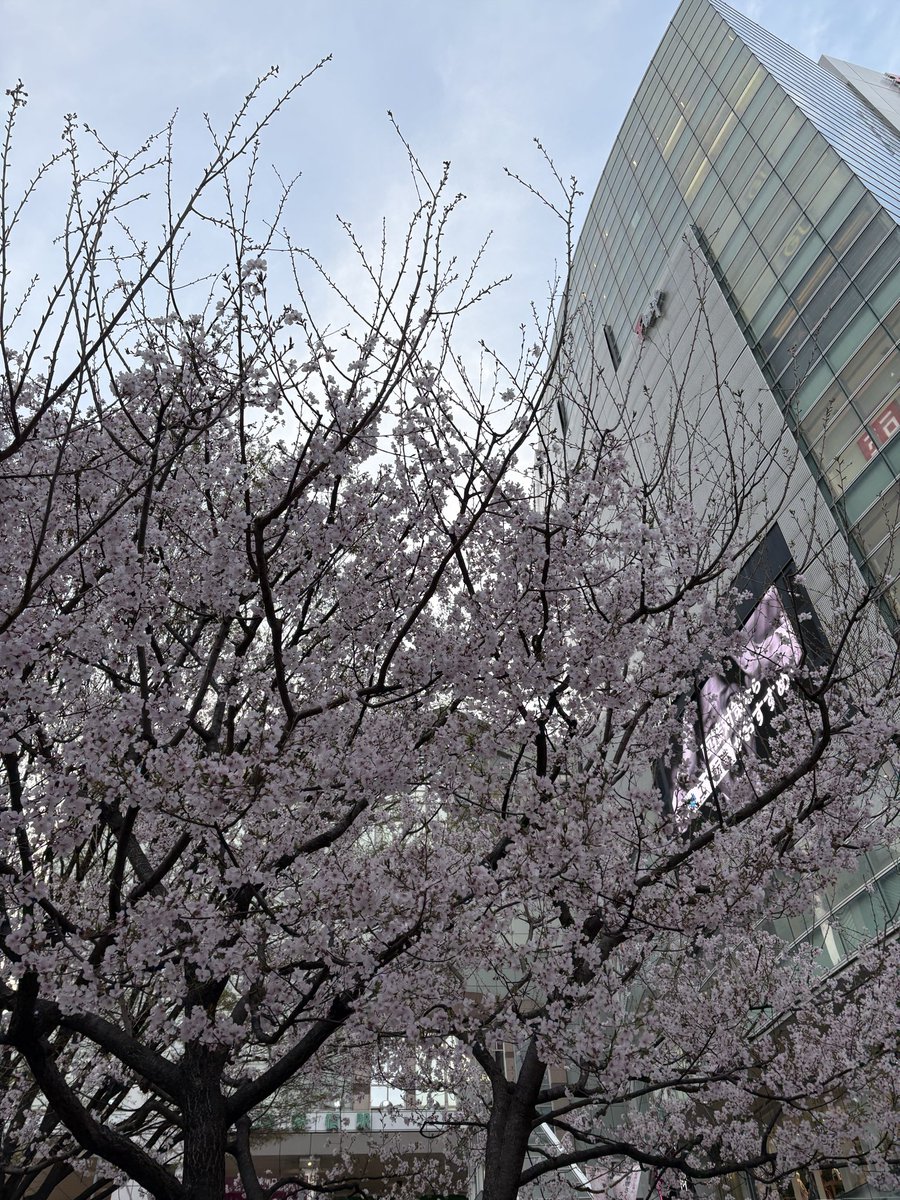 소금후추 tweet media