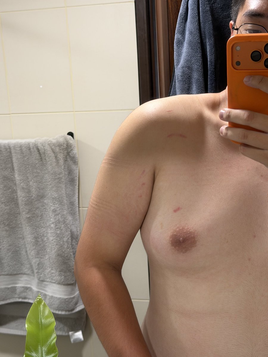 咪咪咪嗷嗚 tweet media