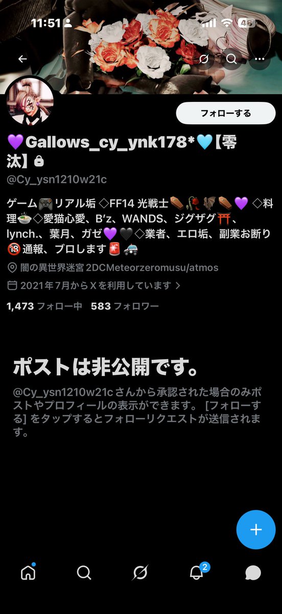 Elise Laurant tweet media