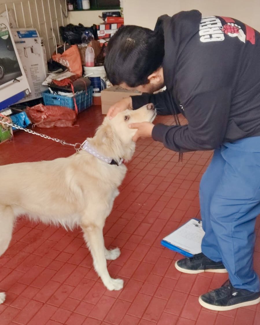 Colombia Oscura tweet media