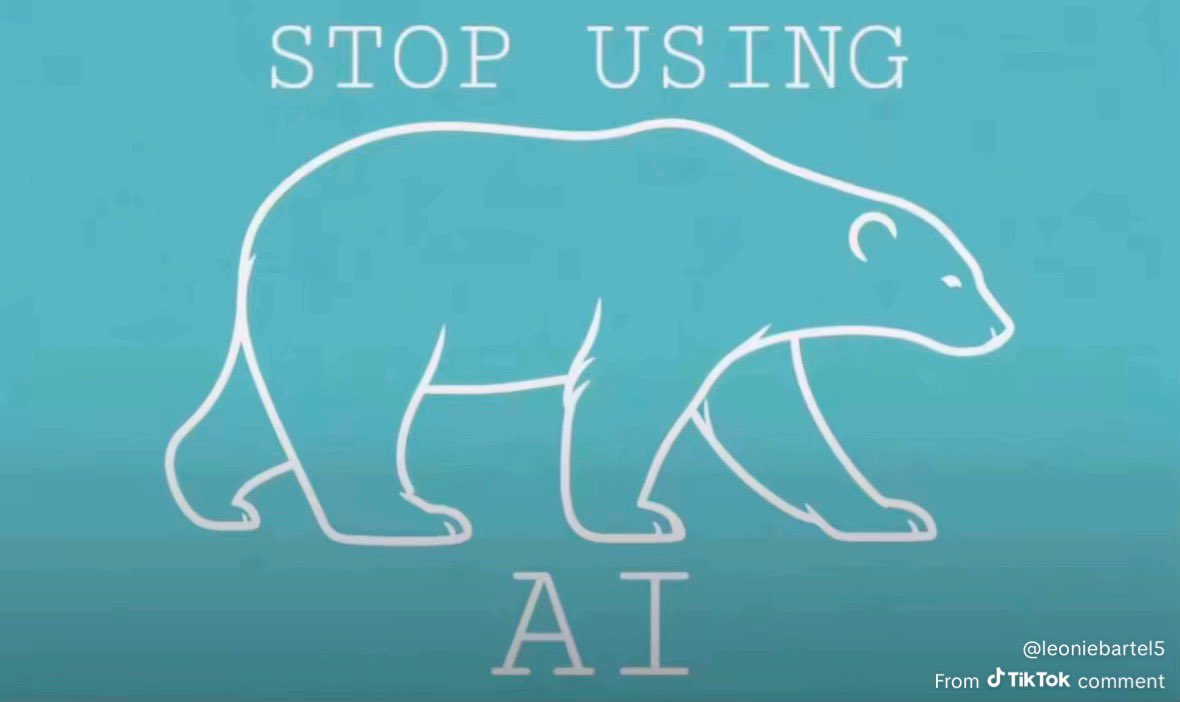 Katey 🍯🐰 tweet media