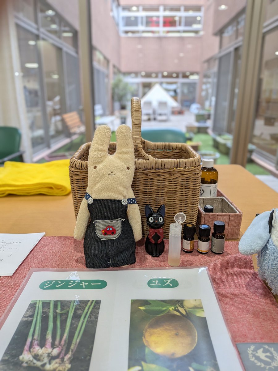 しろくまちゃん tweet media