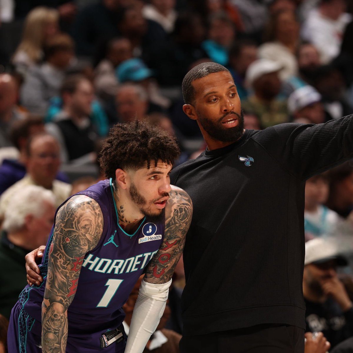 MeloHive 🛸💕 tweet media