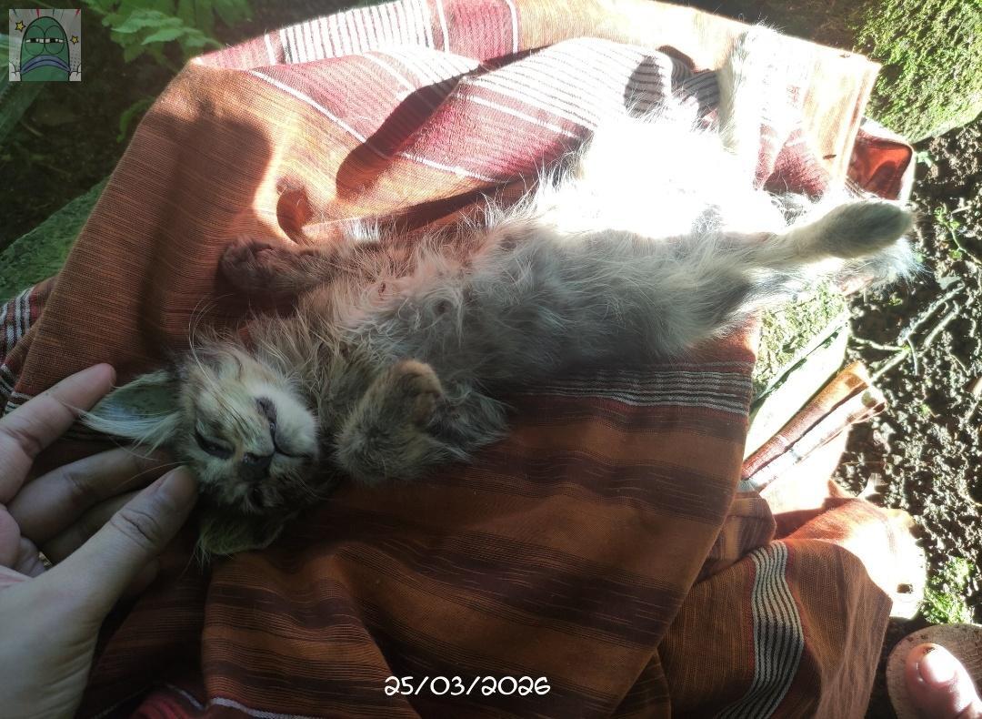 Tanyarlfes tweet media