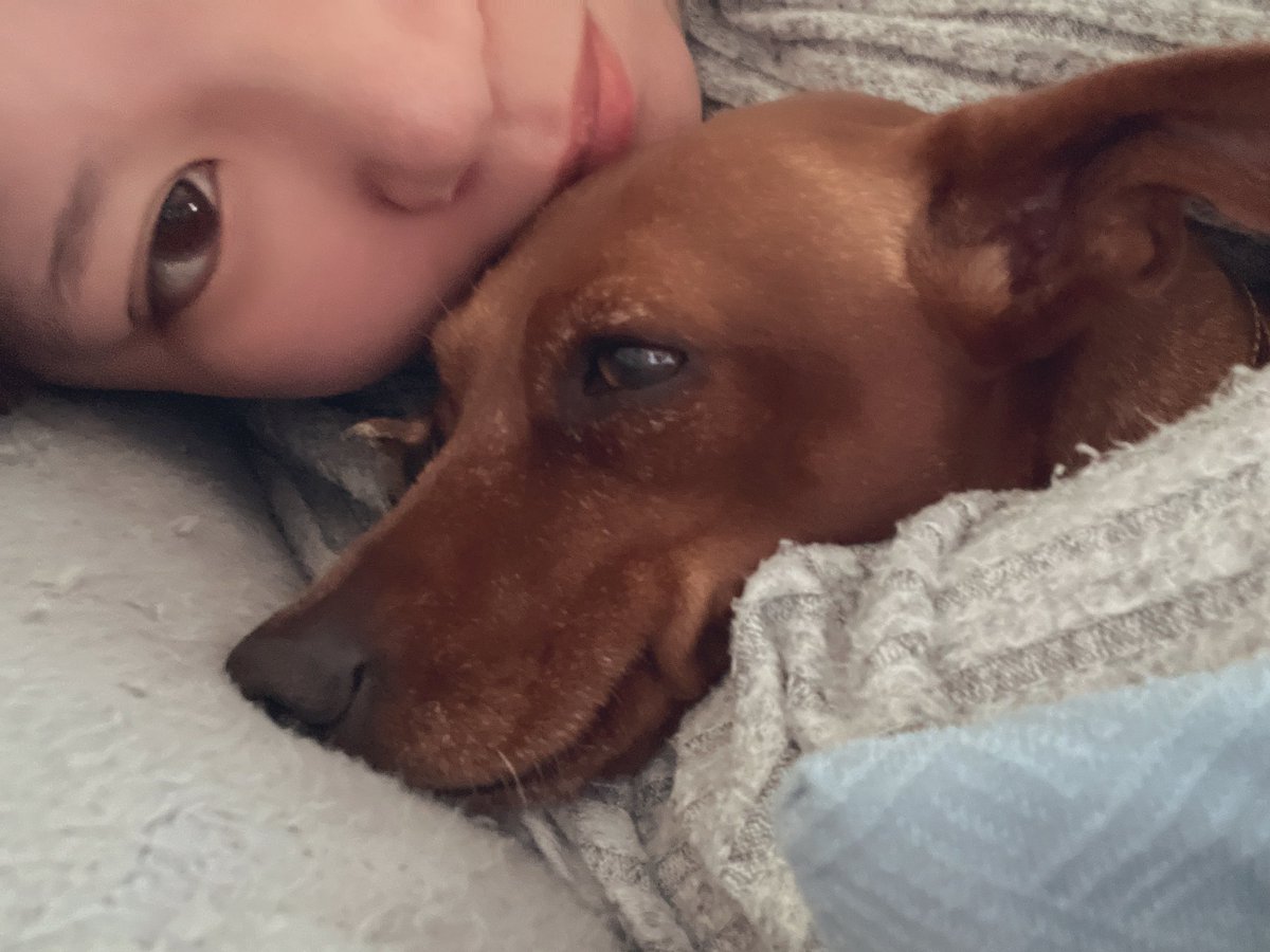 あっぴ tweet media