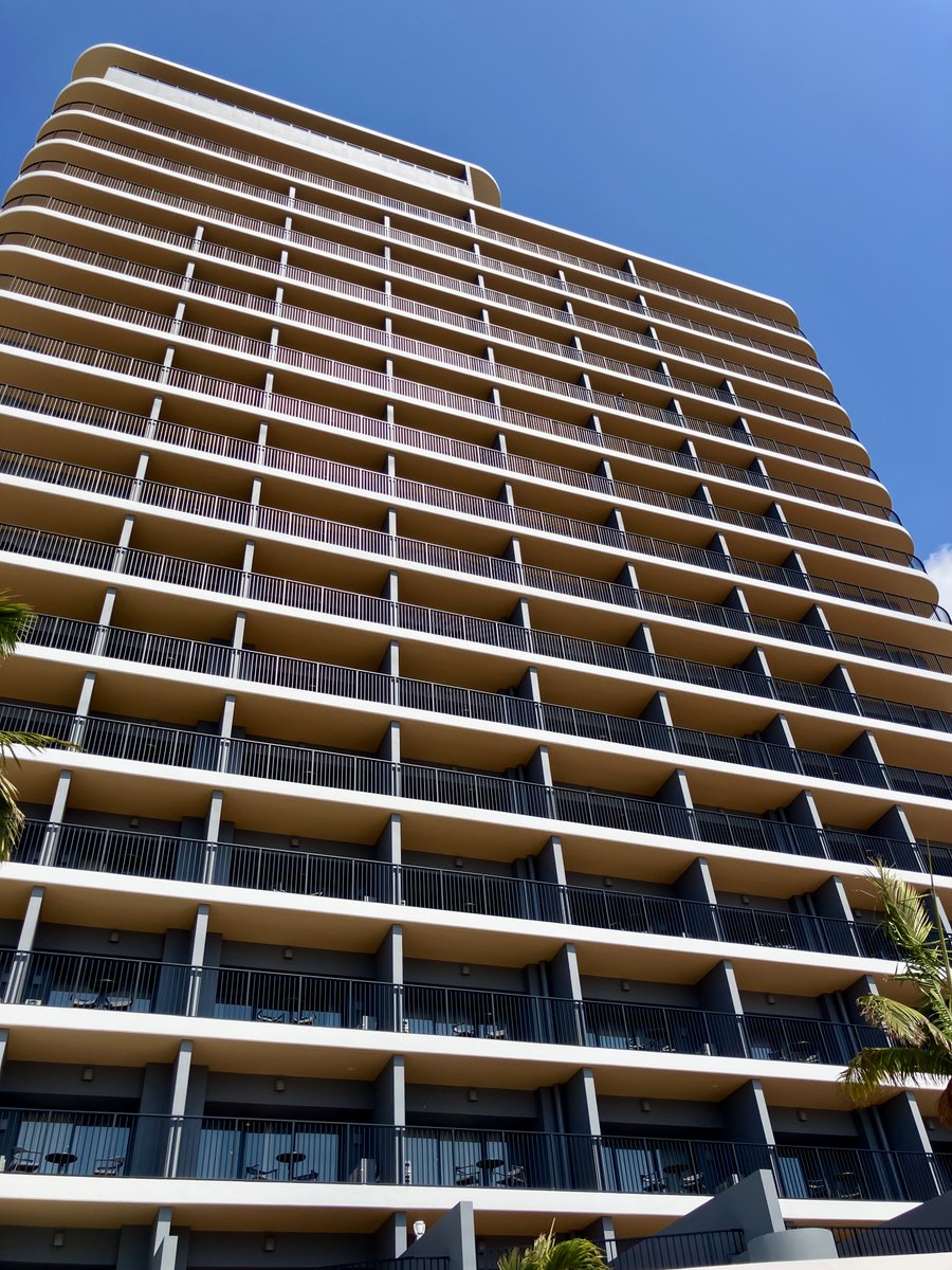 マハエちゃん【公式】 tweet media