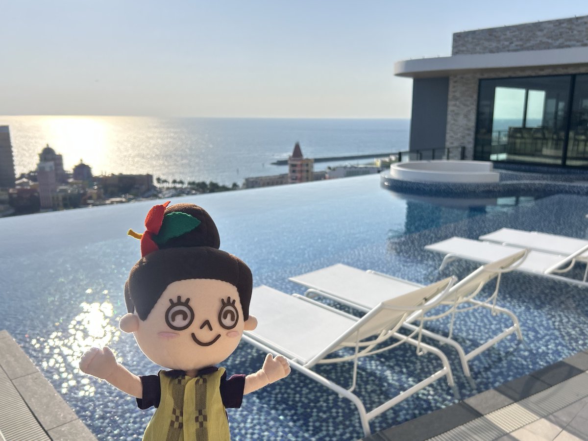 マハエちゃん【公式】 tweet media