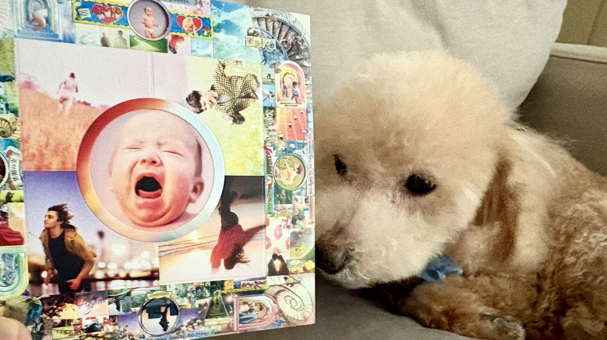 ayu*☺︎ tweet media