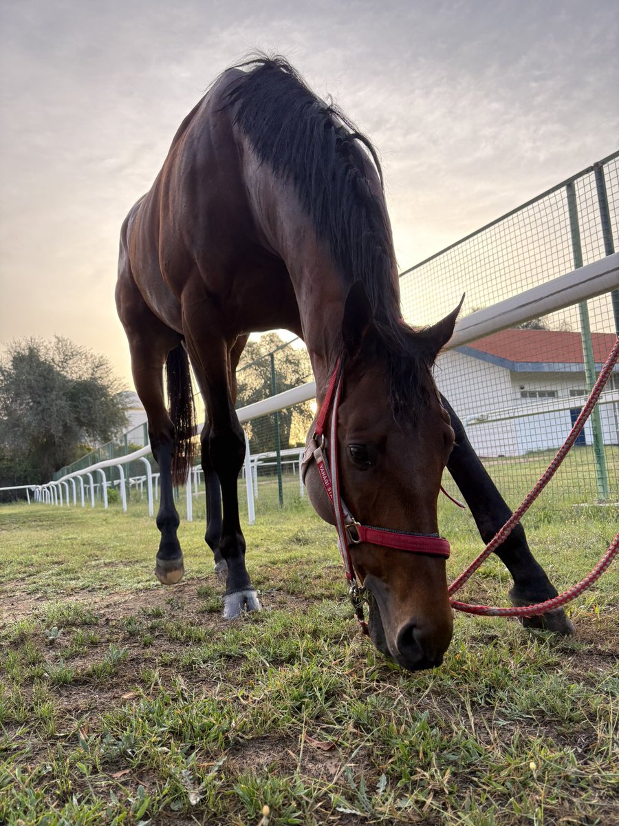 坂井瑠星 tweet media