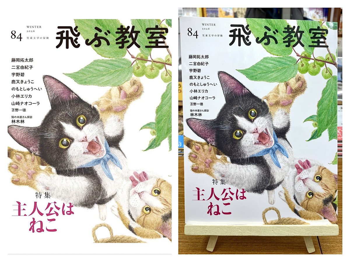 猫本専門 神保町にゃんこ堂_姉川書店 tweet media