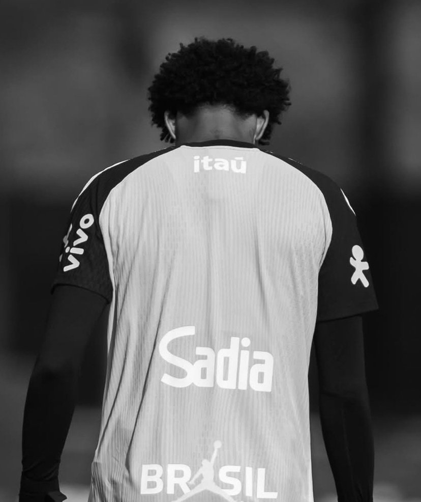 rodriguesˢᶜᶜᵖ tweet media