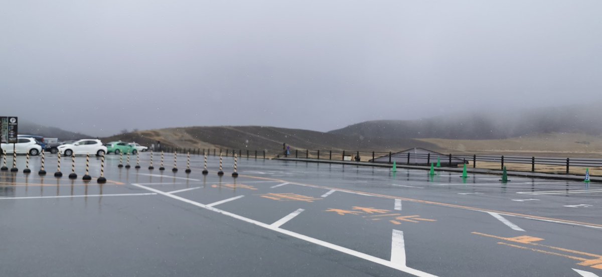 やん@盛岡 tweet media