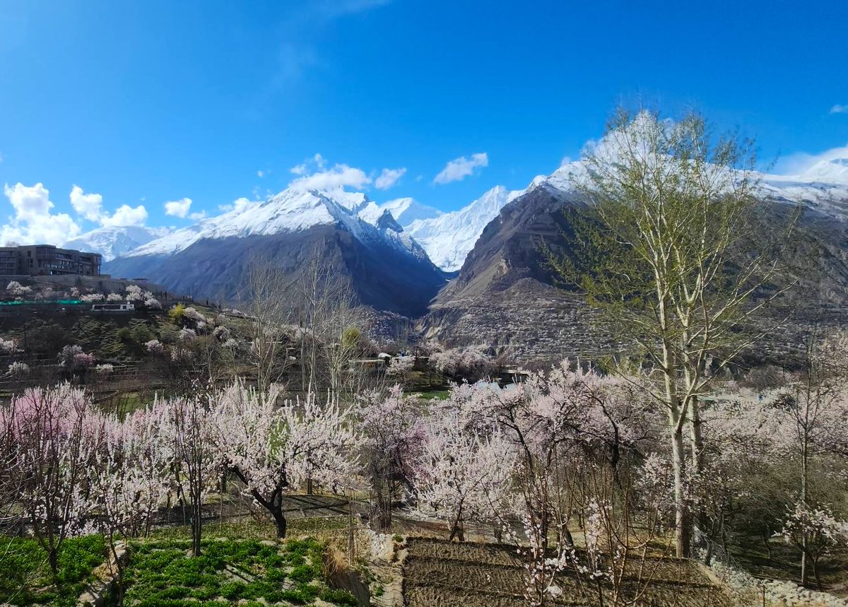 スズケー@🇵🇰🇮🇳推し tweet media