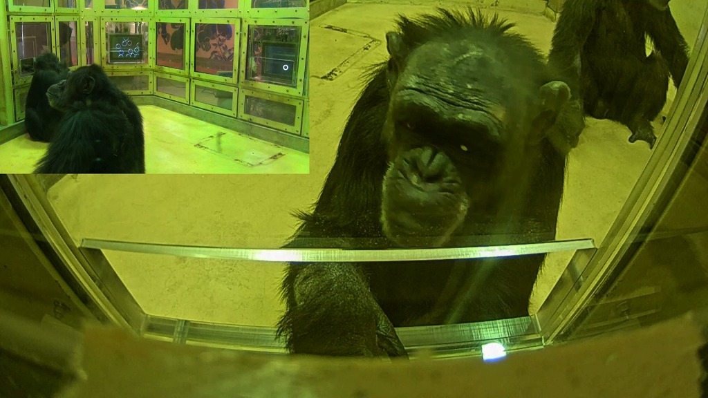 京都市動物園(公式) tweet media