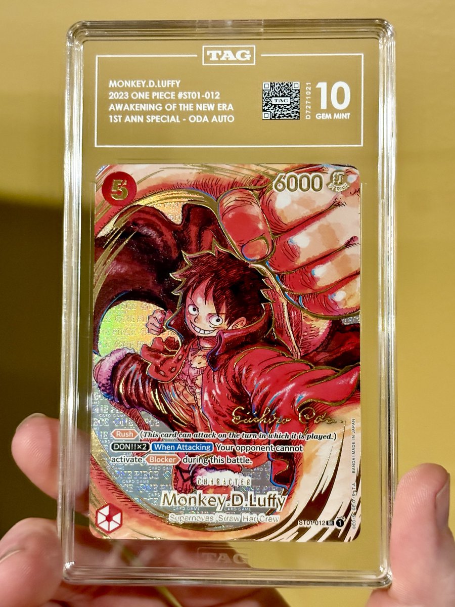 DachshundWizard 🧙‍♂️ tweet media