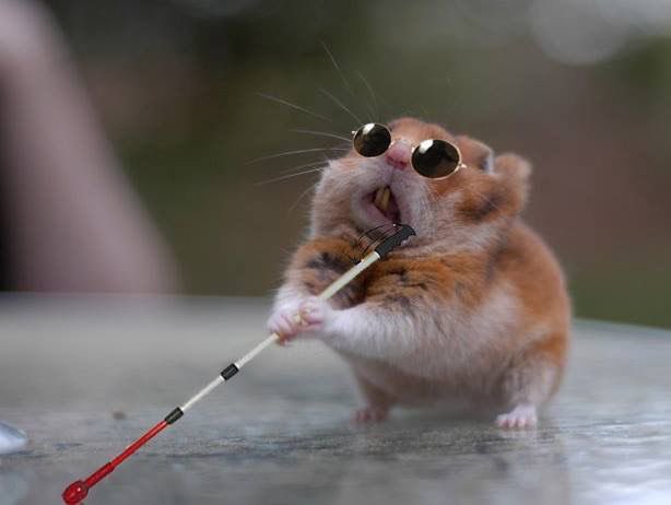 la Katt del aifon 🍒✨🌙🤍🇵🇸 tweet media