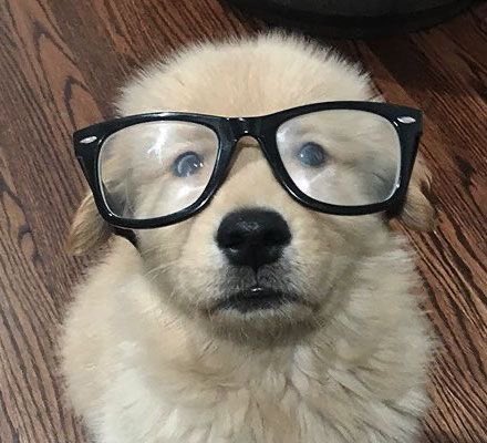 ม๋าด้วง tweet media