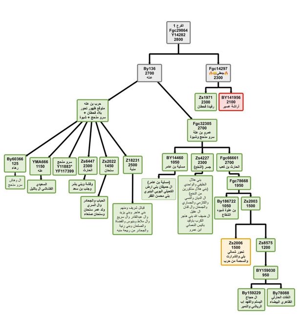 Mohamed Al-Qahtani tweet media