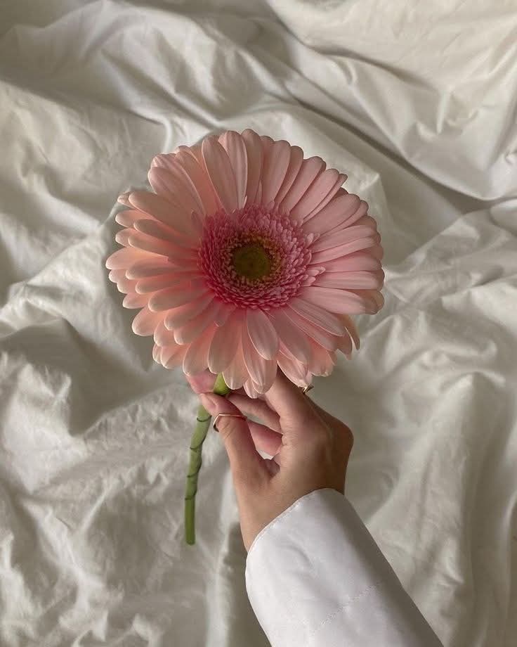 รับงาน เชียงราย🍵🌷(ทวิตแล้วเป็นพัน) tweet media