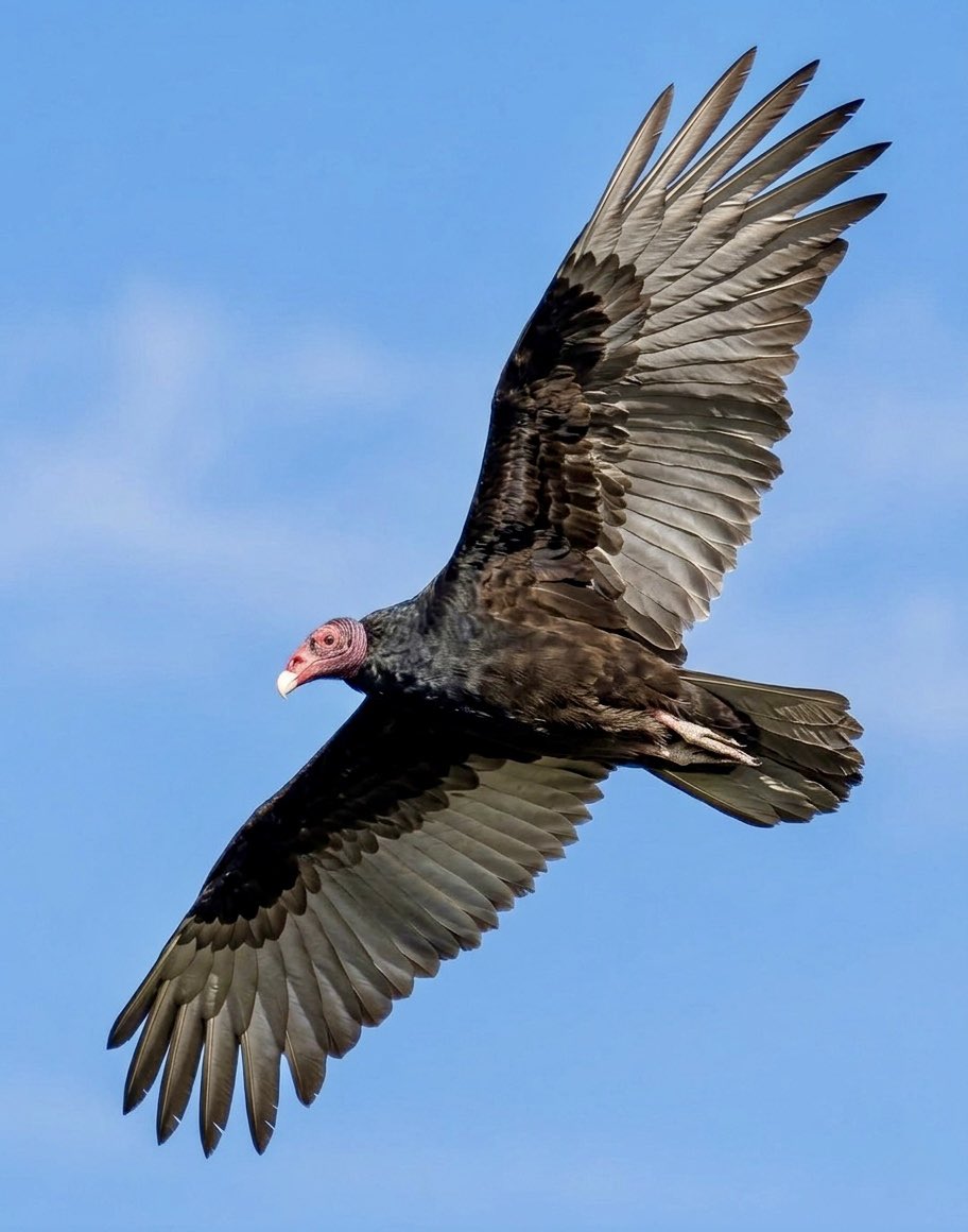 Romel  Romero ™ tweet media