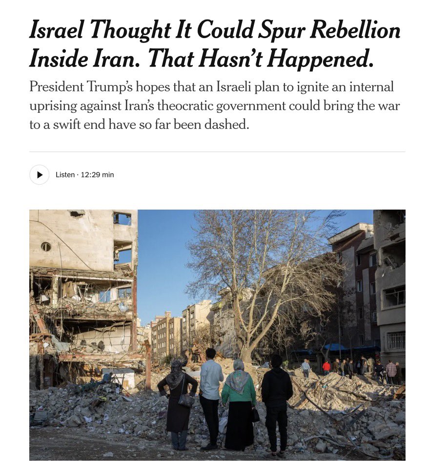 THE ISLANDER tweet media