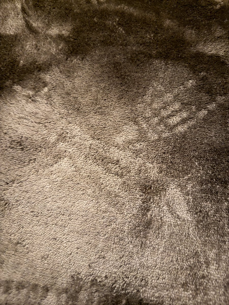 ナヲきち tweet media