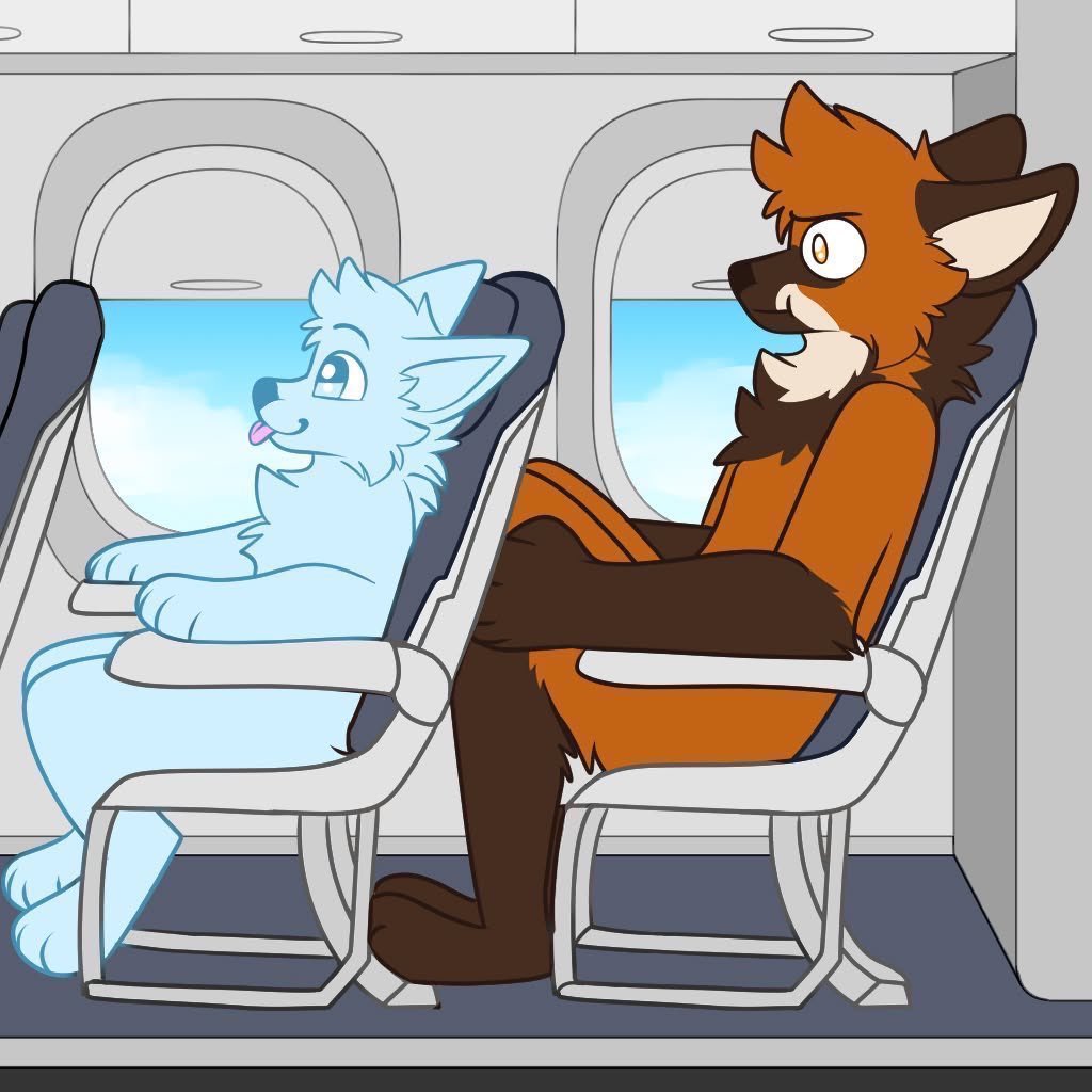 Libs of Furry tweet media