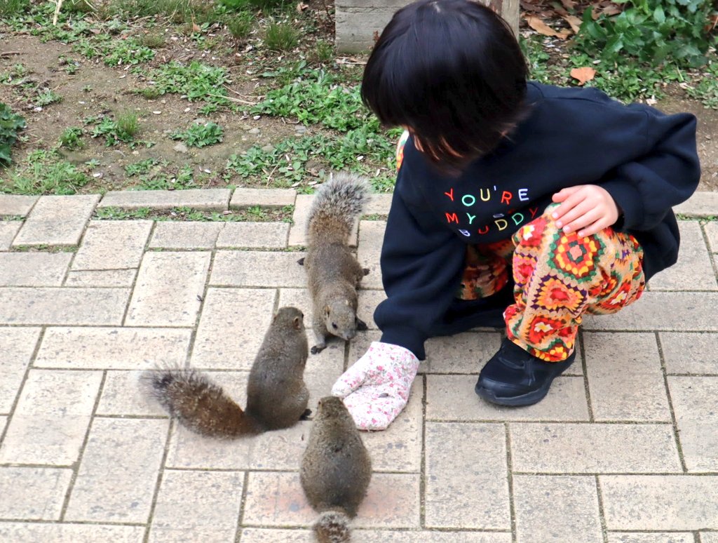 中村 潤二 (Junji Nakamura) tweet media