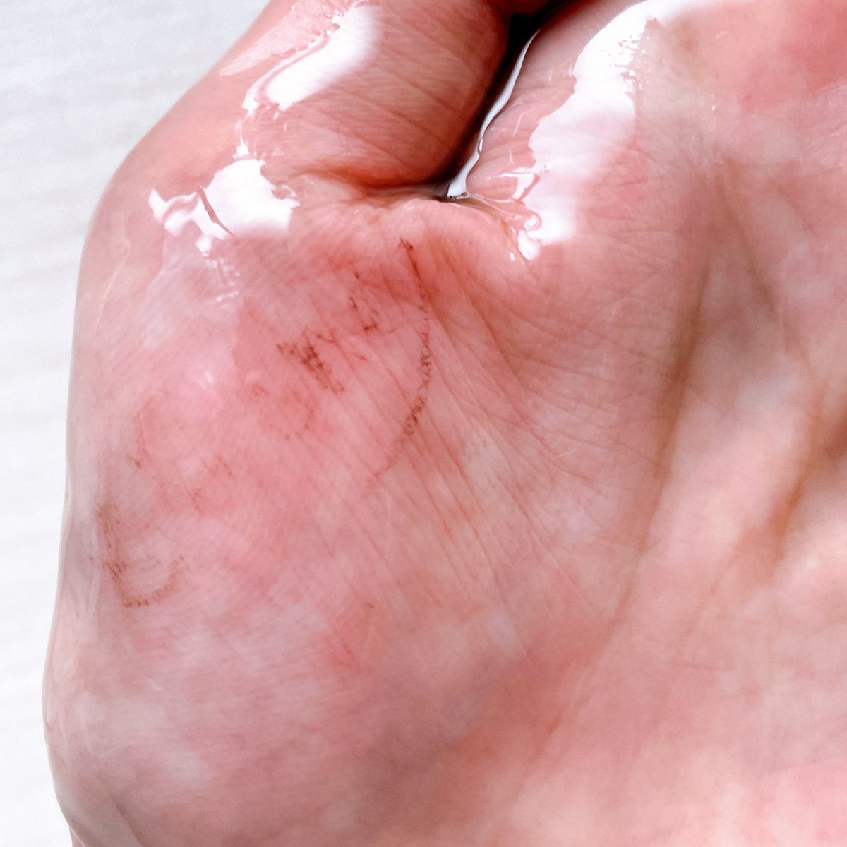 はれんちゃん tweet media