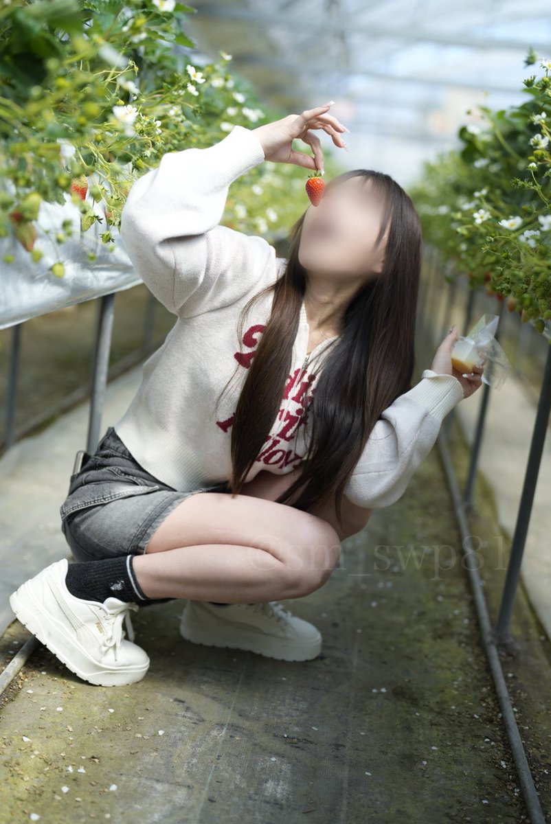 調教ぷりんちゃん🍑 tweet media