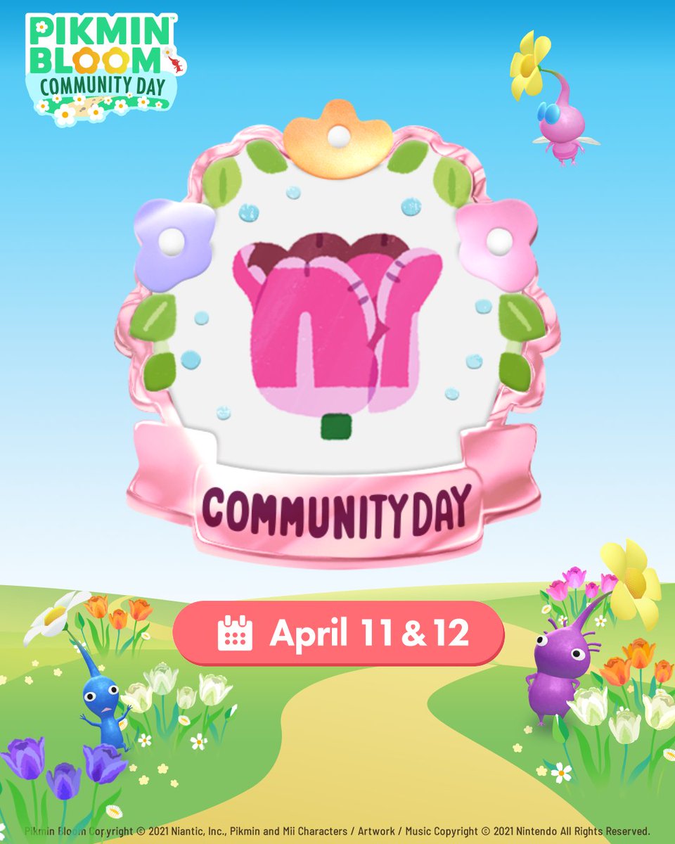 PikminBloom's tweet image. April Community Day takes place on 4/11 &amp;amp; 4/12 🚶‍♀️🔔

Complete your #10KWalkWithPikmin on either day to earn the Parrot Tulip Badge 🌷✨

Big petals, bold colors, and a great excuse to get outside. Whether you’re strolling somewhere new or revisiting a favorite route, let your