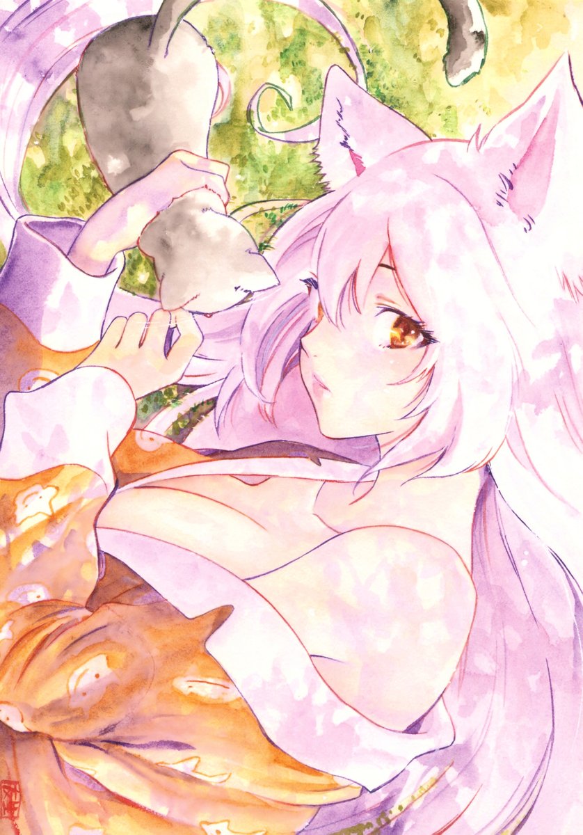 Daily Hanekawa 🐱 tweet media