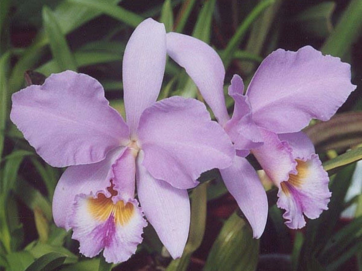 石黒塾|一隅を照らす tweet media