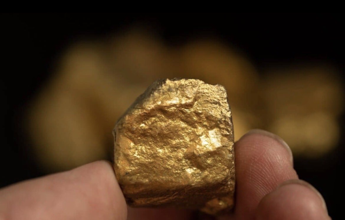 うさ　朝倉市民 tweet media