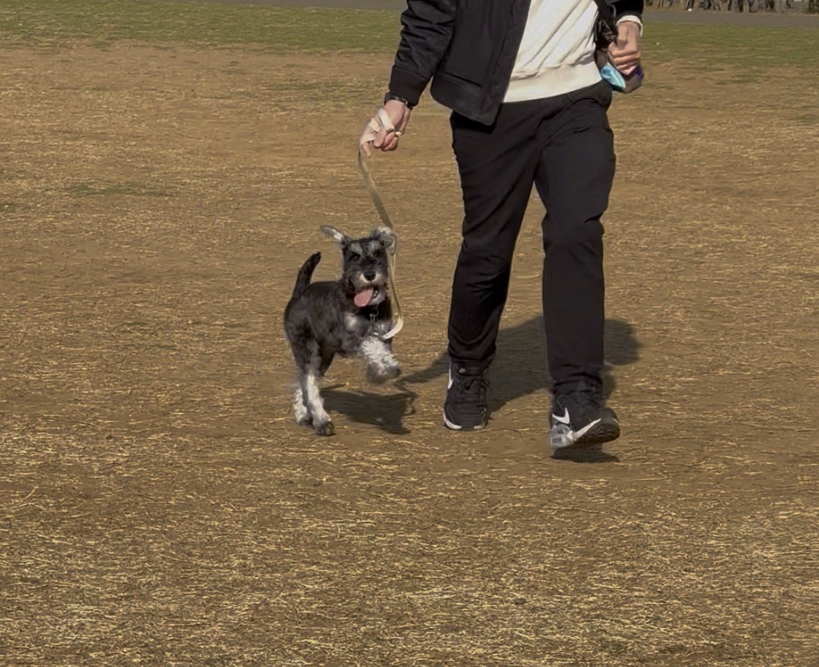 みこてぃん＊HR170 tweet media