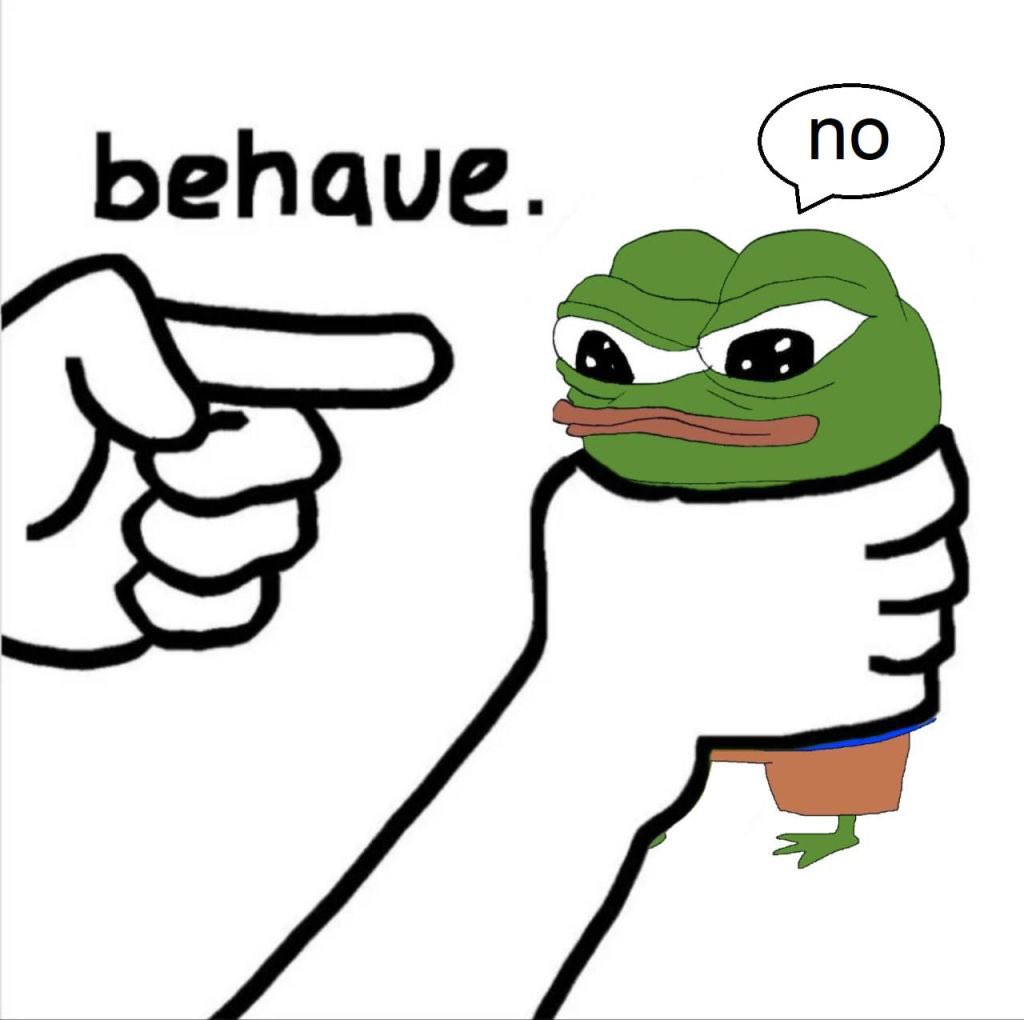 Bill Springer tweet media