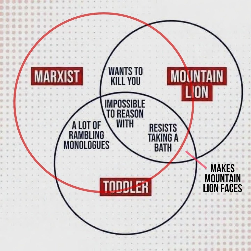 Thunderican tweet media