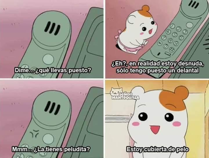 SGM Gisela,soberana del Reino del Nuevo Santander tweet media