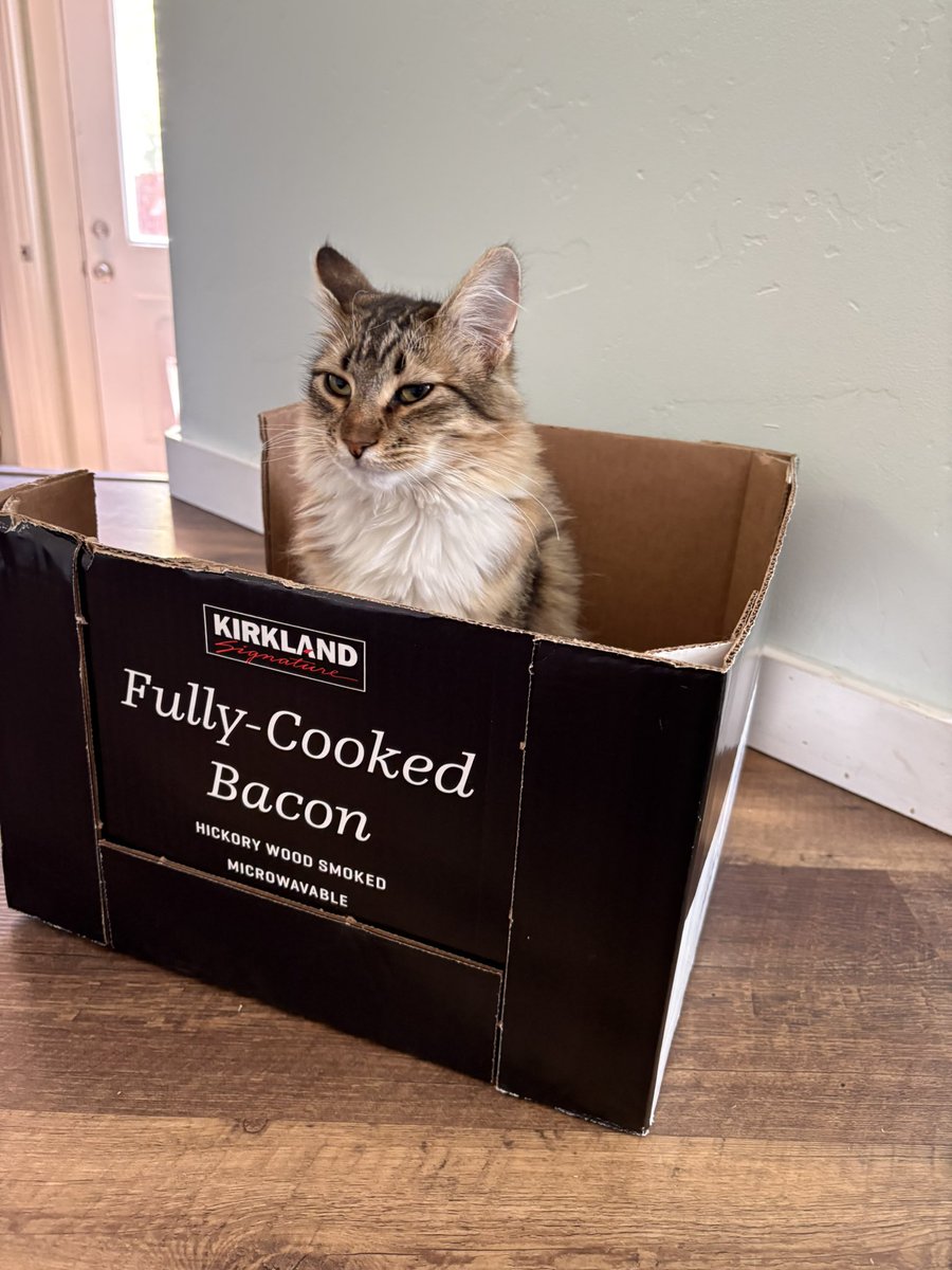 Vérité (i.e. Learing The Truth) tweet media