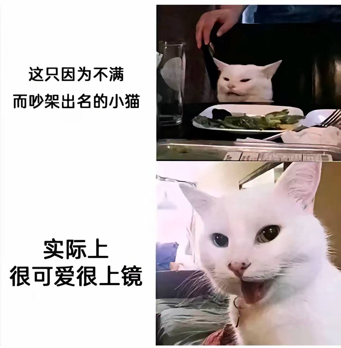 草莓走丢了 tweet media