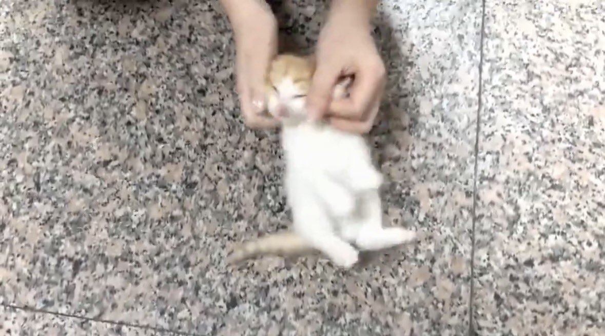 이유(상태: 땡겨봐~) tweet media