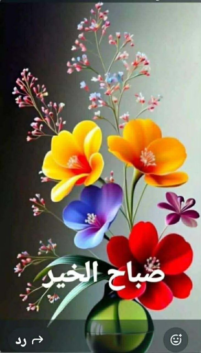 🇰🇼🦋🕊️❤️Amoon tweet media