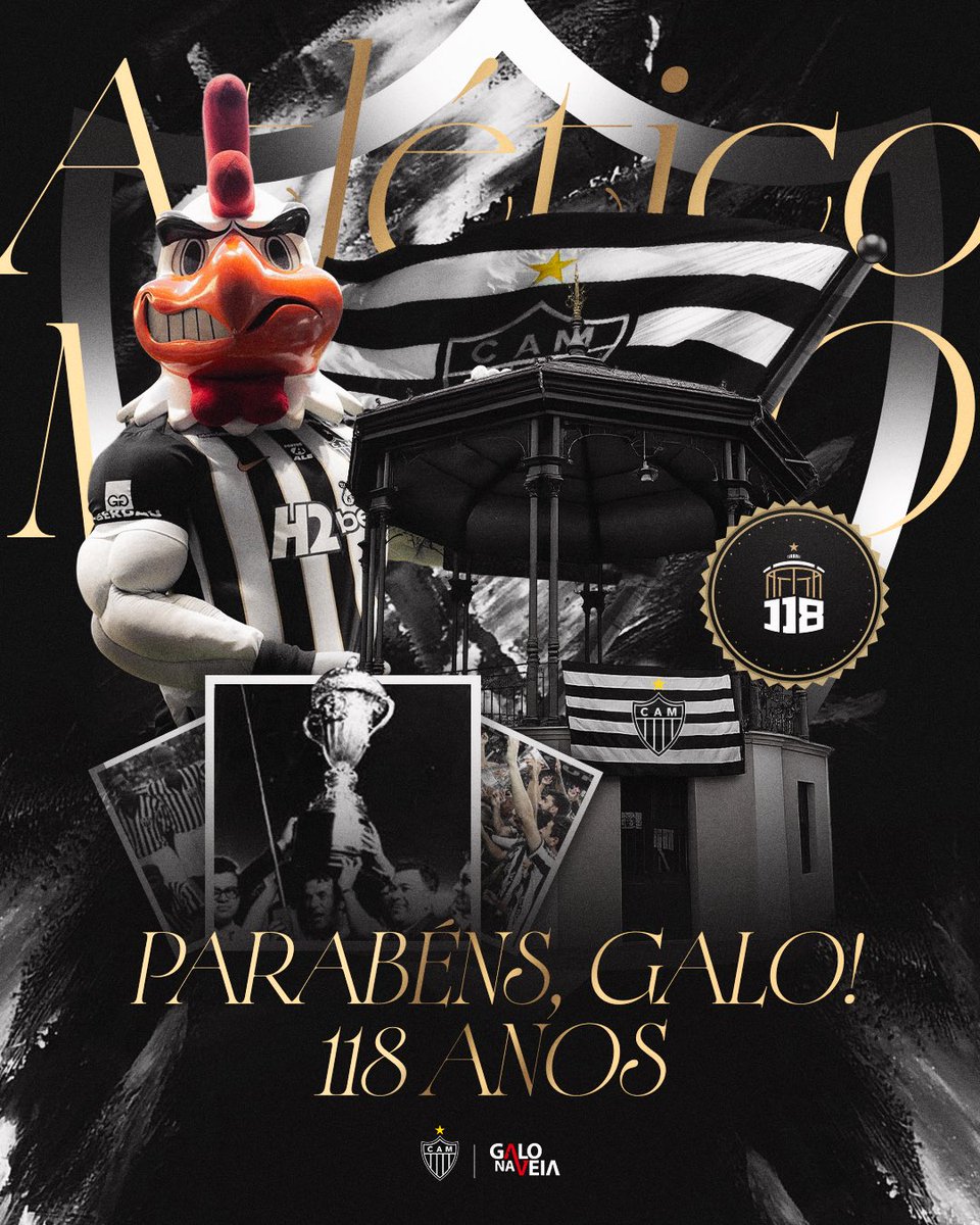 Galo Na Veia tweet media