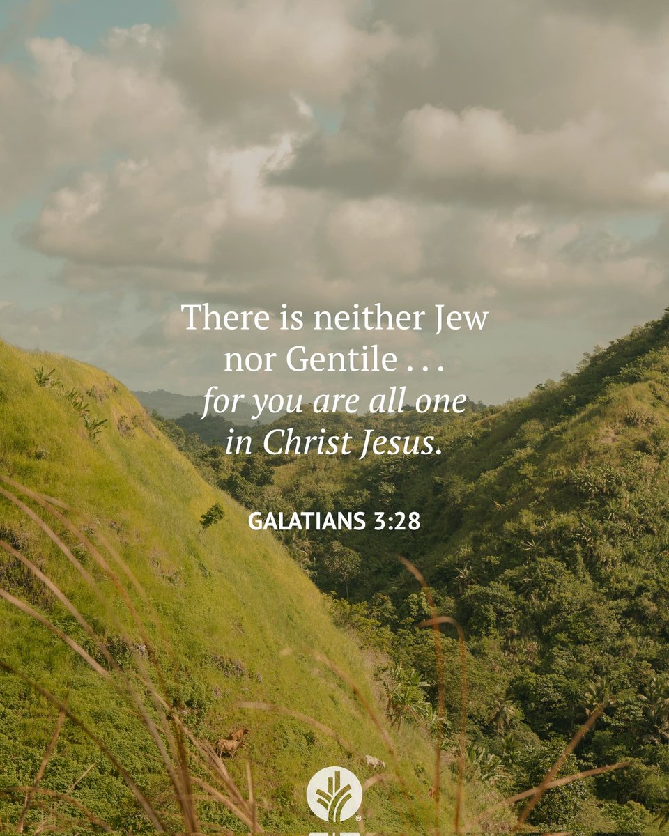 Ian Mbugua tweet media