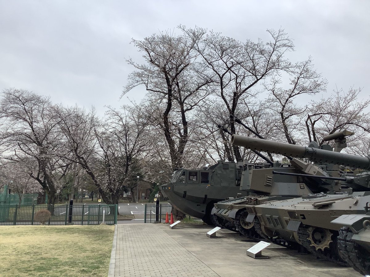 sakura47047138's tweet photo. こんにちは♪りっくんランド売店SAKURAです。
いつもご利用ありがとうございます😊

本日のりっくんランド裏の桜です。

今日は小雨が降って寒いですね☔️
昨日の暖かさで桜もだいぶ咲いてきました🌸
満開の桜が待ち遠しいです🎶 https://t.co/57MRkTllXx